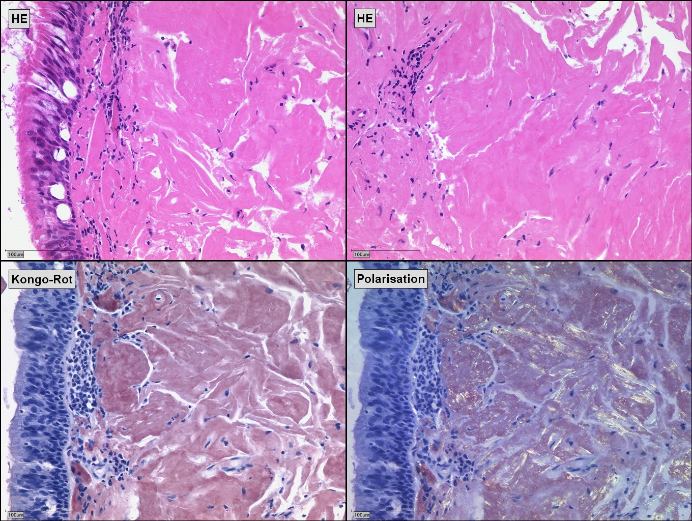 Figure 3.jpg